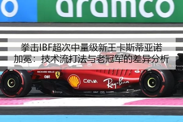 拳击IBF超次中量级新王卡斯蒂亚诺加冕：技术流打法与老冠军的差异分析
