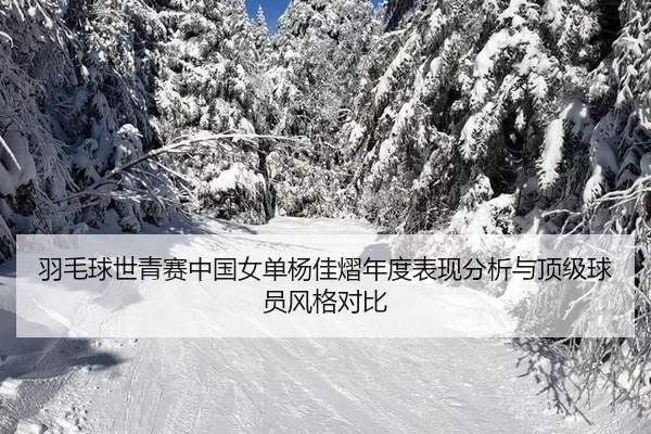 羽毛球世青赛中国女单杨佳熠年度表现分析与顶级球员风格对比